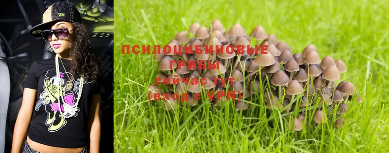 Псилоцибиновые грибы Magic Shrooms  Егорьевск 